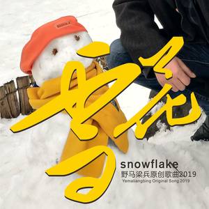 雪花在空中一片一片地落下