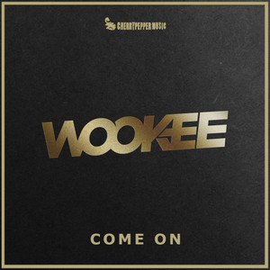 Come On (Original Mix)