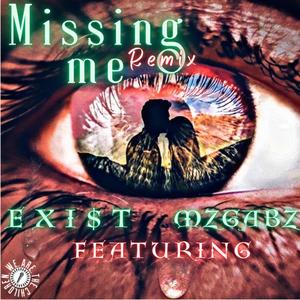 Missing Me (feat. Mz Gabz) [Explicit]