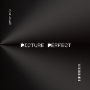 Picture Perfect (Explicit)