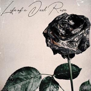 Life of a Dark Rose (feat. yakwtfgo & Lil Sketchbook) (Explicit)