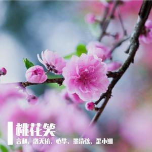 桃花笑 (言和、洛天依、心华、墨清弦)