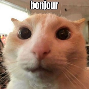 kostkaXD (feat. toocomplicated) (Explicit)