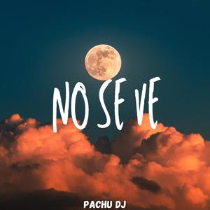 NO SE VE (Remix)