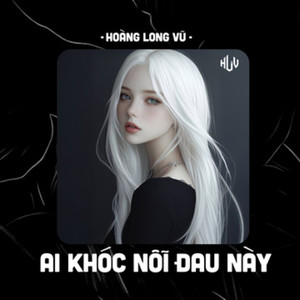 Ai Khóc Nỗi Đau Này (HLV Remix)