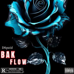 Bak Flow (Explicit)