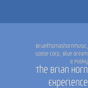The Brian Horn Experience