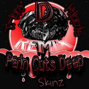 Pain Cuts Deep (feat. SkinZ) [Remix] [Explicit]