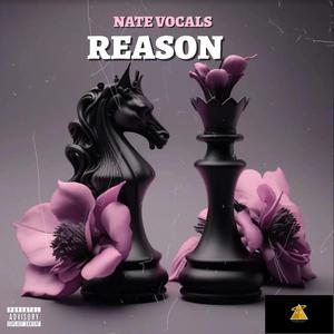 Reason (Explicit)