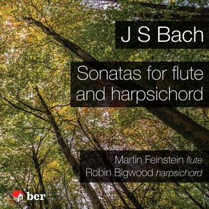 Sonata in E Minor for Flute and Basso Continuo, BWV 1034 - IV. Allegro