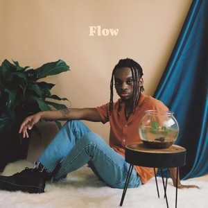 Flow (Explicit)