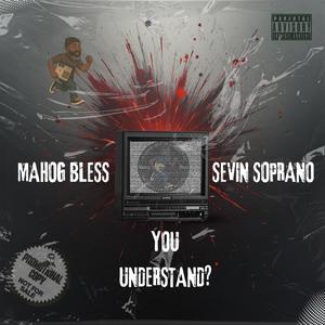 YOU UNDERSTAND? (feat. SEVIN SOPRANO) (Explicit)