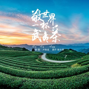 敬世界一杯武夷茶