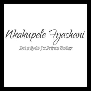 Nkakupele Ifyashani (feat. Sydo J,Prince Dollar & Jey Cro)