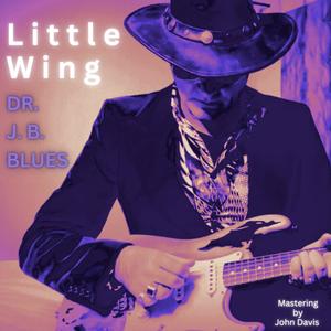 Little Wing (A Tribute)