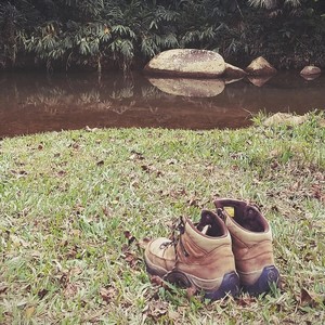 Unos Temas a la Orilla del Río