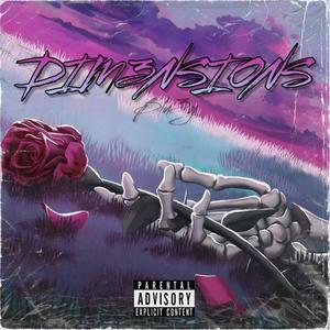 Dim3nsions (Explicit)