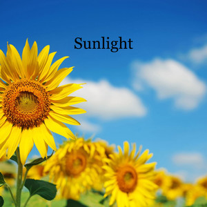 Sunlight