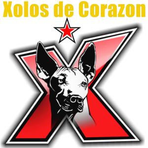 Xolos de Corazon