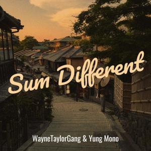 Sum Different (feat. WayneTaylorGang) (Explicit)