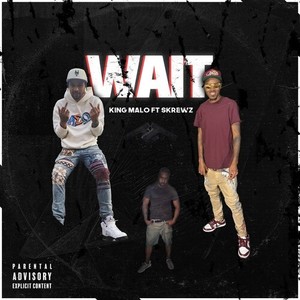 Wait (Explicit)