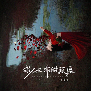 王佳音《你不必非做玫瑰》[MP3_LRC]_MP3免费下载