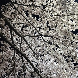 한숨과 바람의 노래 (Feat. Jisung) (Explicit)