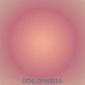 Ochlophobia