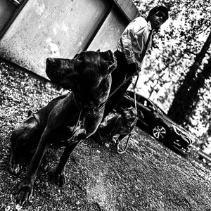 C COMMENT (Explicit)