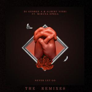 Never Let Go (The Remixes)