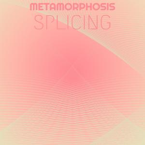 Metamorphosis Splicing