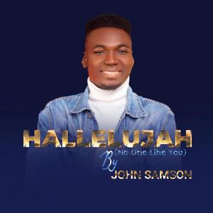 John Samson - Hallelujah (no one like you)