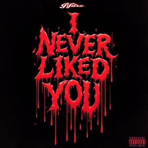 I Never Liked You (Explicit)