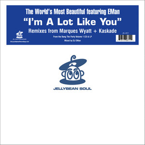 I'm a Lot Like You (Kaskade's Vocal Mix)