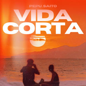 VIDA CORTA