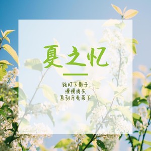 夏之忆 (伴奏)