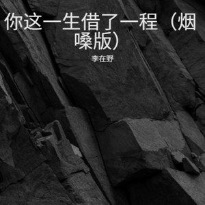 你这一生借了一程 (烟嗓版)