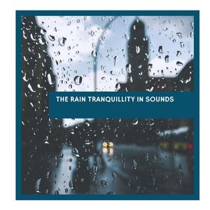 The Rain Tranquillity in Sounds