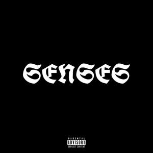 Senses (Explicit)