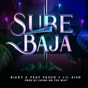 Sube Baja(feat. Lil Eish & Vaech) (Explicit)