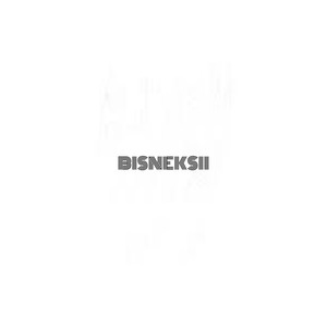 BISNEKSII