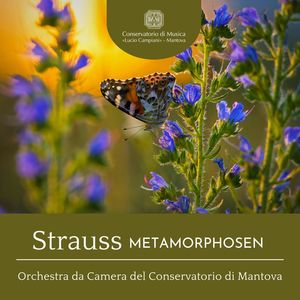 Metamorphosen, TrV 290 (Study for 23 String Instruments)