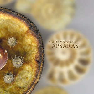 APSARAS