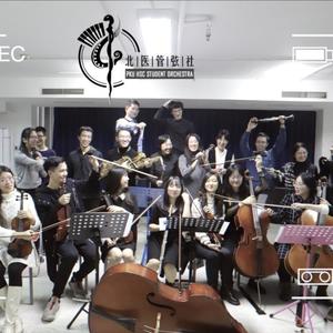 未闻花名片尾曲·Secret Base 乐团演奏版【北医管弦社】