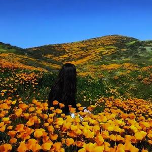 beside you (Explicit)