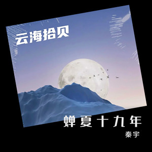 蝉夏十九年封面