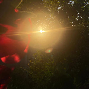 Boss2 (feat. Re-Logic) (anG3L remix)