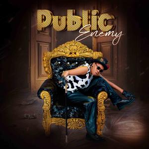 Public Enemy (Explicit)