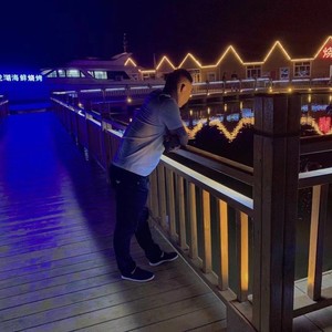 痴情 (王岩 remix)