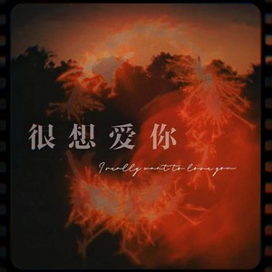很想爱你